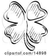 Lucky Shamrock With Four Leaves Black And White Clipart Illustration by Andy Nortnik