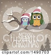 Poster, Art Print Of Pair Of Owls On A Branch With Merry Christmas Text