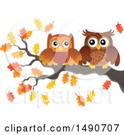Poster, Art Print Of Pair Of Owls On An Autumn Branch