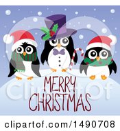 Poster, Art Print Of Merry Christmas Greeting With Penguins