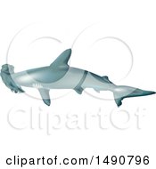 Poster, Art Print Of Scalloped Hammerhead Shark