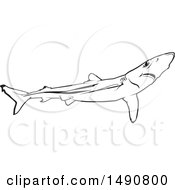Poster, Art Print Of Black And White Blue Shark