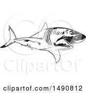 Poster, Art Print Of Black And White Great White Shark