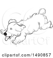 Clipart Of A Black And White Playful Running Dog Royalty Free Vector Illustration
