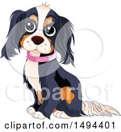 Cute Spaniel Dog Sitting And Wearing A Pink Collar