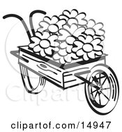 Old Fashioned Wooden Wheelbarrow With Pretty Daisy Flowers On Easter Black And White