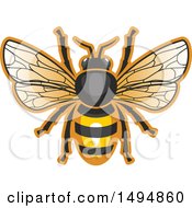 Clipart Of A Honey Bee Royalty Free Vector Illustration