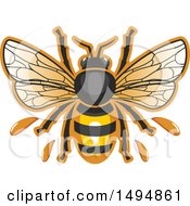 Clipart Of A Honey Bee Royalty Free Vector Illustration