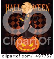 Poster, Art Print Of Black Cat On A Jackolantern Pumpkin With A Full Moon And Halloween Text Over Checkers
