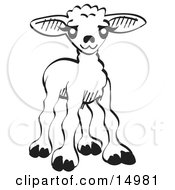 Little Baby Lamb Black And White Clipart Illustration
