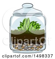 Glass Terrarium With Plants