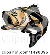 Largemouth Bass Fish In Sketch Style On A White Background