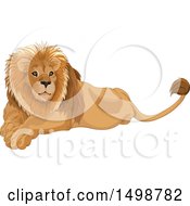 Poster, Art Print Of Handsome Resting Male Lion