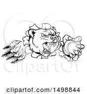 Poster, Art Print Of Black And White Bear Mascot Slashing Through A Wall With A Tennis Ball In A Paw