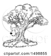 Poster, Art Print Of Black And White Bad Wolf Peeking From Behind A Tree The Three Little Pigs Story