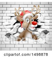 Poster, Art Print Of Red Nosed Christmas Reindeer Breaking Through A White Brick Wall