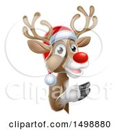Poster, Art Print Of Red Nosed Christmas Reindeer Looking Around A Sign