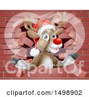 Poster, Art Print Of Red Nosed Christmas Reindeer Breaking Through A Brick Wall