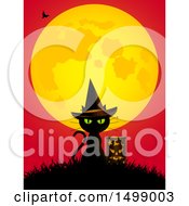Poster, Art Print Of Witch Cat With A Lantern Under A Full Moon