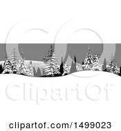 Poster, Art Print Of Border Of Snow Flocked Evergreen Trees