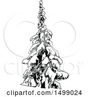 Clipart Of A Snow Flocked Evergreen Tree Royalty Free Vector Illustration
