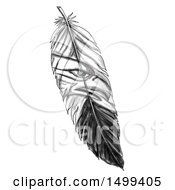 Feather With A Sea Eagle On A White Background