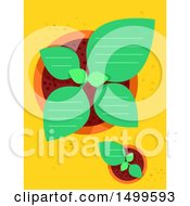 Poster, Art Print Of Top View Of Potted Plants With Ruled Lines And Text Space
