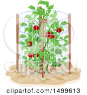 Poster, Art Print Of Tomato Cage Around A Plant