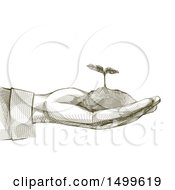 Poster, Art Print Of Hand Holding A Seedling In Crosshatching Drawing Technique Style