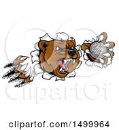 Poster, Art Print Of Vicious Aggressive Bear Mascot Slashing Through A Wall With A Golf Ball In A Paw