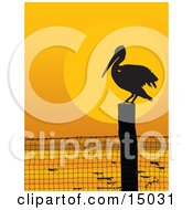 Poster, Art Print Of Lone Pelican Bird On A Coastal Fence Post Silhouetted Against An Orange Sunset