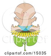 Cute Little Caucasian Baby Boy In A Blue Cloth Diaper Sitting On Top Of The Head Of A Sunflower Clipart Illustration by Maria Bell