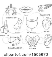 Clipart Of Human Organs And Text Royalty Free Vector Illustration