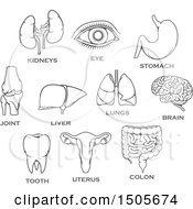 Clipart Of Human Organs And Text Royalty Free Vector Illustration by Vector Tradition SM