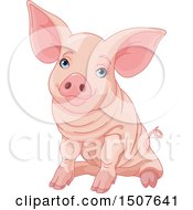 Poster, Art Print Of Cute Blue Eyed Pink Pig Sitting