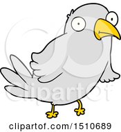 Cartoon Bird