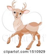 Poster, Art Print Of Cute Walking Deer