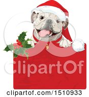 Poster, Art Print Of Cute Bulldog Popping Out Of A Christmas Gift Box