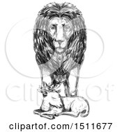 Poster, Art Print Of Sketched Male Lion Guarding A Sleeping Lamb On A White Background