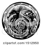 Clipart Of A Vintage Black And White Woodcut Dragon Forming A Spiral In A Circle Royalty Free Vector Illustration