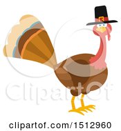 Poster, Art Print Of Pilgrim Thanksgiving Turkey Bird