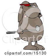 Humanlike Dog Standing On His Hind Legs Holding A Club And Wearing A Red Visor And Shielding His Eyes To Watch His Ball After Just Hitting It At A Golf Course Graphic Clipart