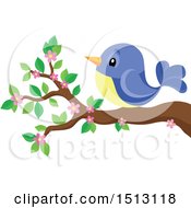 Poster, Art Print Of Blue And Yellow Bird Perched On A Spring Blossom Branch