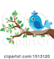 Poster, Art Print Of Blue Bird Perched On A Spring Blossom Branch