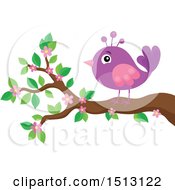 Poster, Art Print Of Purple And Pink Bird Perched On A Spring Blossom Branch