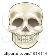 Clipart Of A Grinning Human Skull Royalty Free Vector Illustration