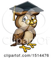 Poster, Art Print Of Wise Professor Owl With Glasses And Graduation Cap