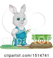 Poster, Art Print Of Bunny Rabbit Gardener Watering Carrots