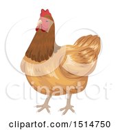 Poster, Art Print Of Brown Hen Chicken