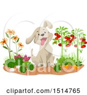 Poster, Art Print Of Happy Puppy Dog Sitting In A Vegetable Garden